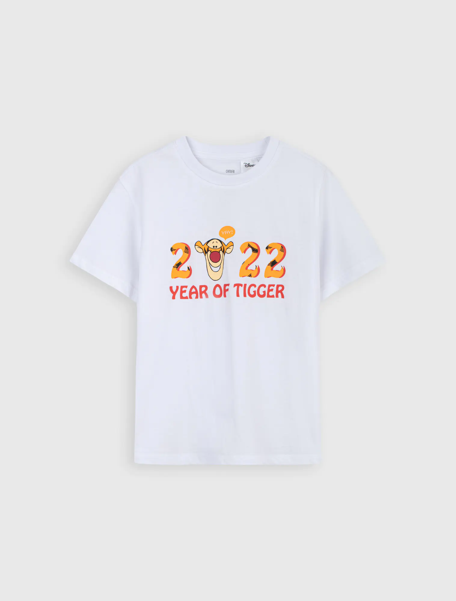 Year of Tigger