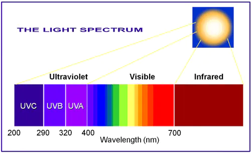 Tác hại của tia UV 